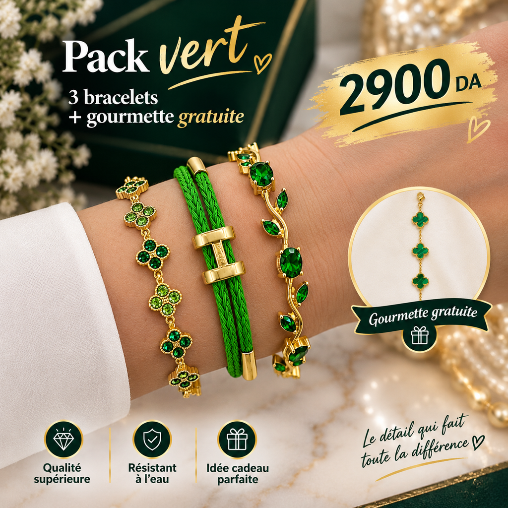 💎 Pack 3 Bracelets + Gourmette Gratuite 🎁