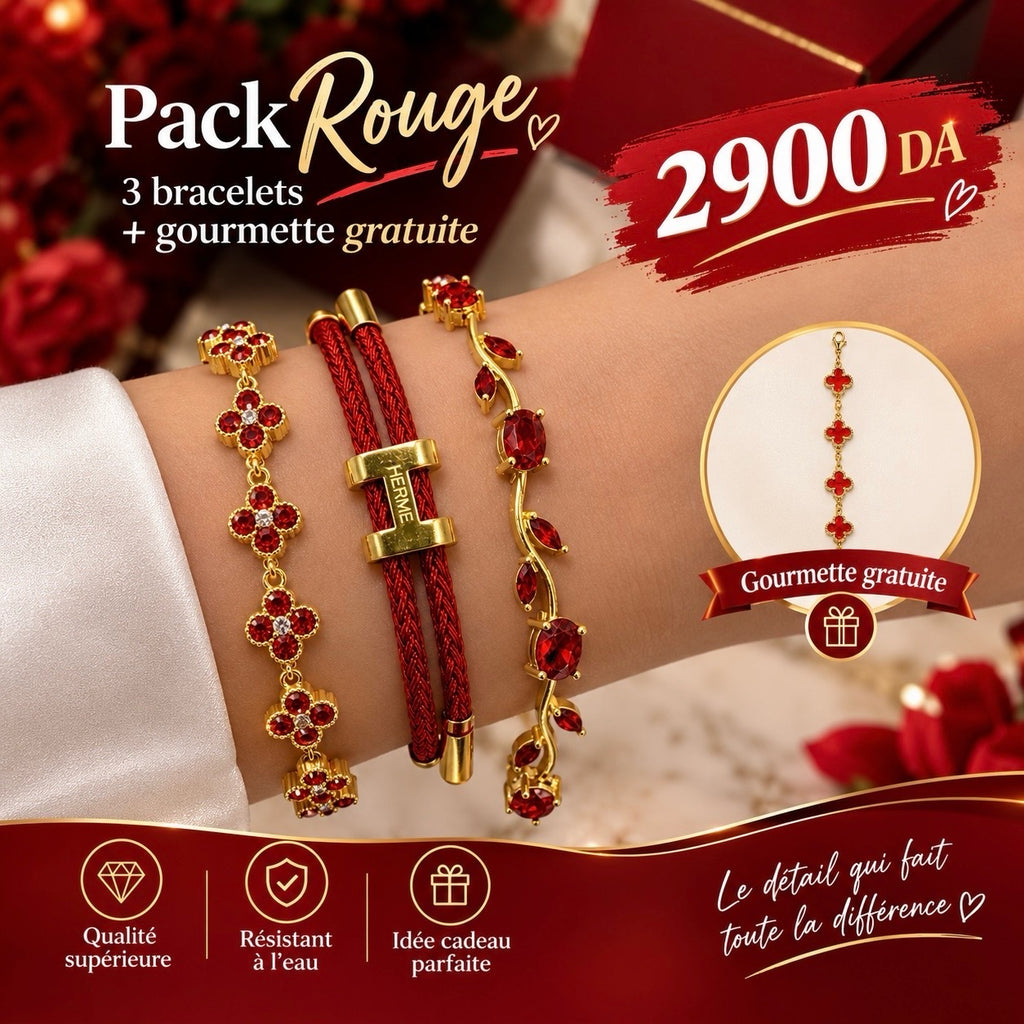 💎 Pack 3 Bracelets + Gourmette Gratuite 🎁