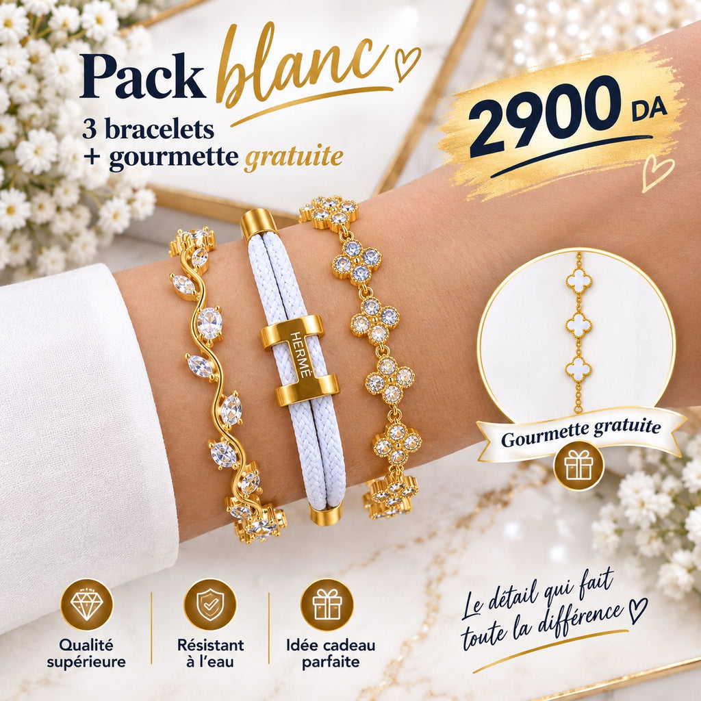 💎 Pack 3 Bracelets + Gourmette Gratuite 🎁