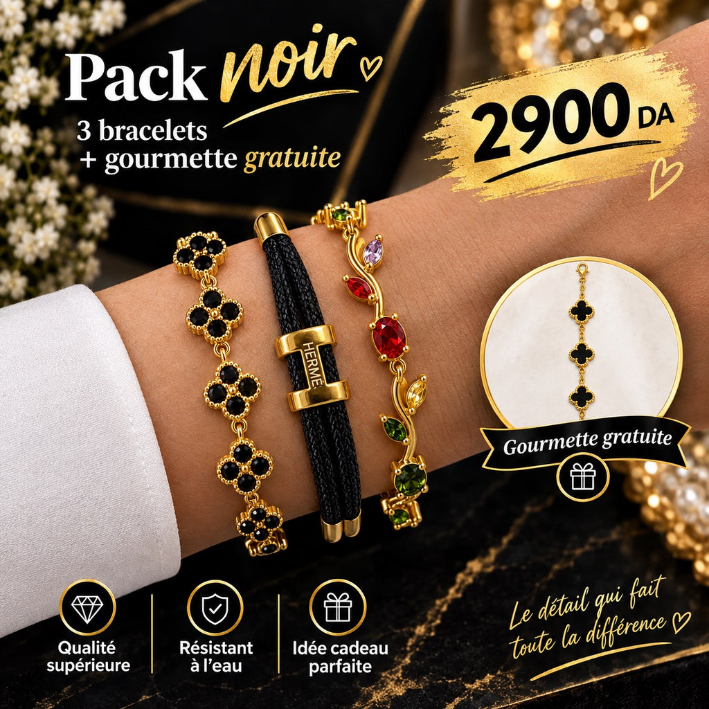 💎 Pack 3 Bracelets + Gourmette Gratuite 🎁